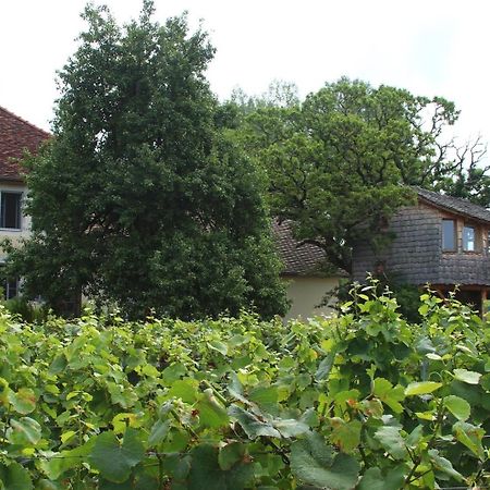 Bed and Breakfast L'Entre-Coeur Menetru-le-Vignoble Exterior foto