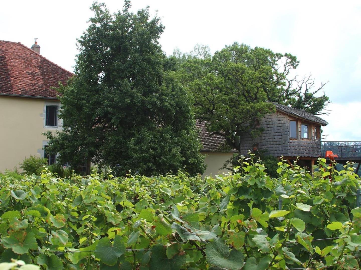Bed and Breakfast L'Entre-Coeur Menetru-le-Vignoble Exterior foto